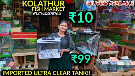 kolathur fish market online|Cheapest Fish Imported tank starts at ₹99 .